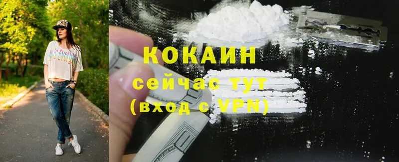 Cocaine Fish Scale  Камбарка 